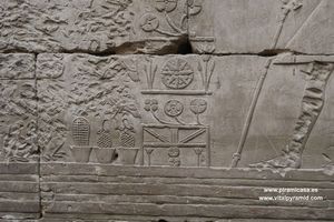 Grabados alto relieve en Templo Edfu