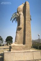 tn_fayun-01.jpg
