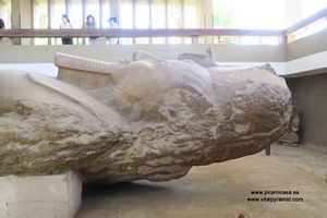 tn_fayun-04.jpg