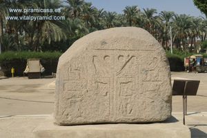 tn_fayun-06.jpg