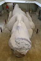 tn_fayun-13.jpg