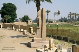 tn_fayun-14.jpg