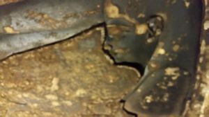 Las Columnas de los Dioses Hator Dandara