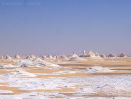 Rarezas del Desierto Blanco