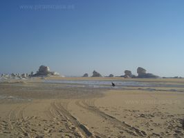 Caminos del desierto