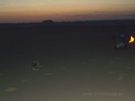 Aparici&oacute;n de Anubis