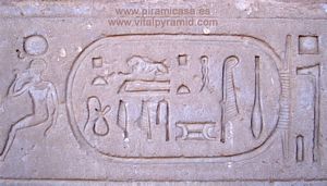 Cartucho sobre trabajo y bioqu&iacute;mica