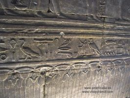 Jerogl&iacute;ficos y biolog&iacute;a