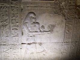 Extra&ntilde;o aparato del iniciado