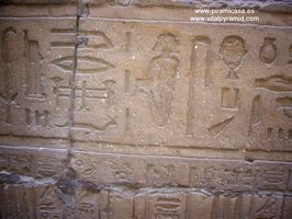 Posible terapia en Egipto