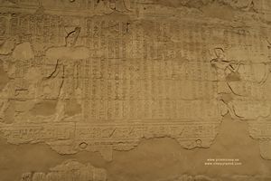 Posible terapia en Egipto