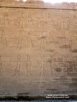 Muro Edfu Grabado