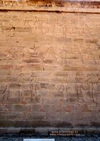 Horus Haroeris Dioses