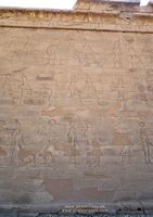Muro Edfu Grabado