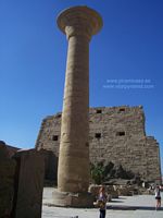 Columna solitaria