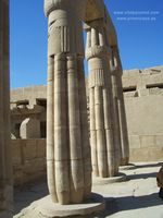 columnas papiriformes