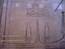 bioenerg&iacute;a en jeroglificos en Kom Ombo