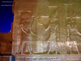 Iniciaci&oacute;n con  jerogl&iacute;ficos en Kom Ombo