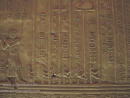 Uas y Ankh con poder en jerogl&iacute;ficos en Kom Ombo