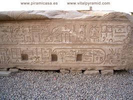 jeroglificos vida y naturaleza Templo de Horus y Sobek en Kom Ombo