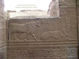 jeroglificos HATOR Kom Ombo