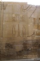 Energ&iacute;a alimentos en jeroglificos en Kom Ombo