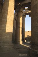 jeroglificos  en columnas  en Kom Ombo