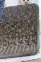 Espermatozoos en Estela Egipcia Museo de El Cairo fotos im&aacute;genes