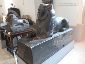 Estatuas leones piedra Museo de El Cairo fotos im&aacute;genes